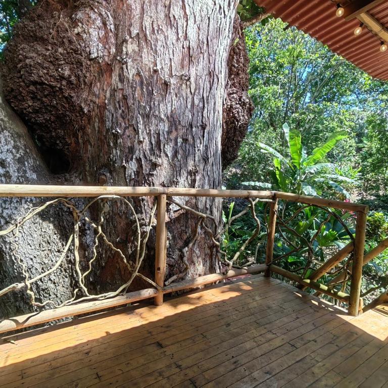 Treehouse Tayrona - Habitación Doble con balcón - 3