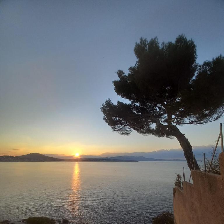 Sanary-sur-mer superbe appartement au calme - Apartment mit 1 Schlafzimmer - 31
