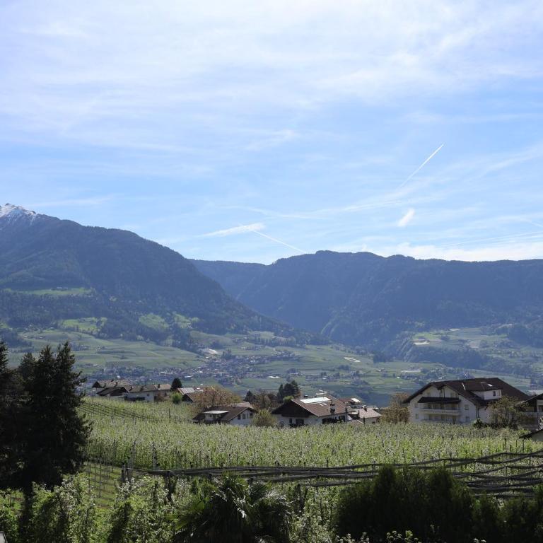 Oberortsgut - Monolocale con Balcone - 2