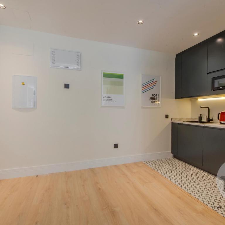 Malasaña relajante para 4, ven a San Bernardo 20 E3 - One-Bedroom Apartment - 7