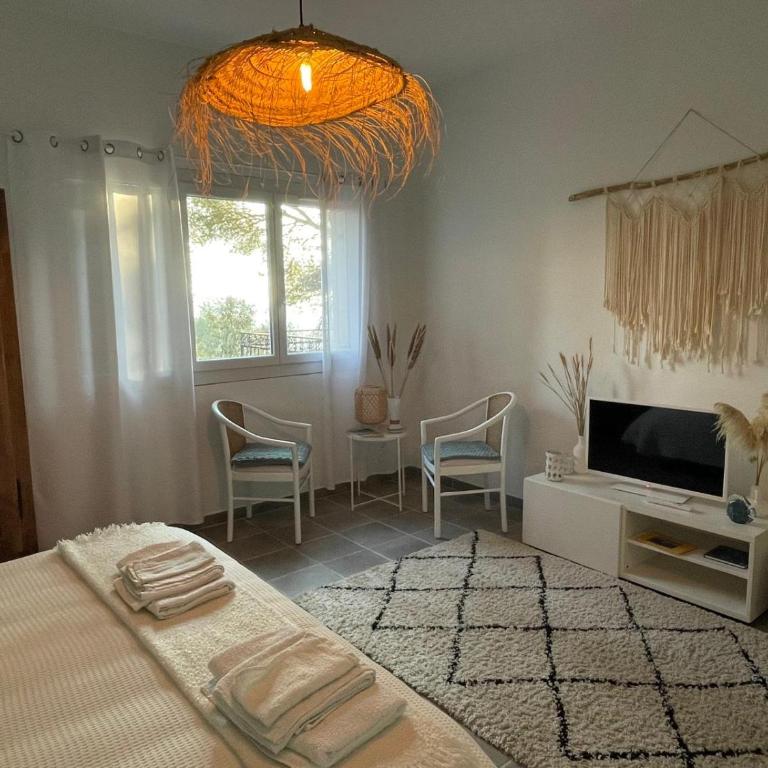 La Solane - Grande maison sous les pins - Casa con 5 Camere da Letto - 21