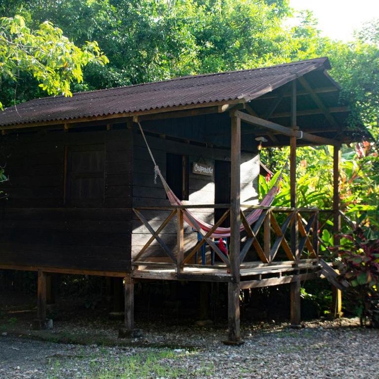 Casa Cielito - Habitación Doble - 1 o 2 camas - 2