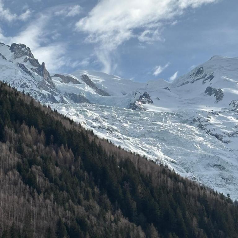 Chamois blanc / Chamonix - Apartment mit 1 Schlafzimmer - 3