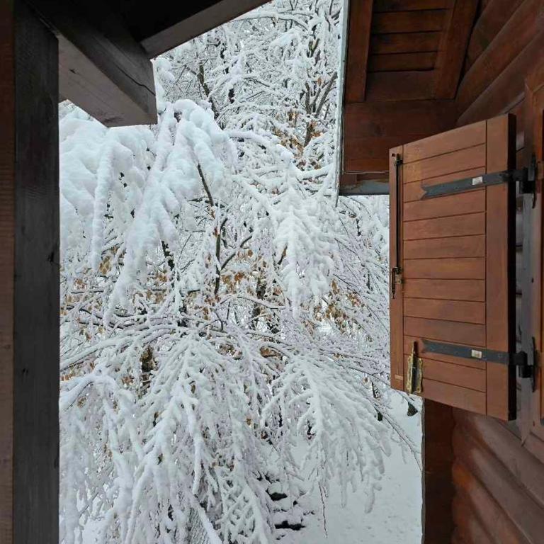 Vikendica Crkvina - Kuća sa 3 Spavaće Sobe - 43