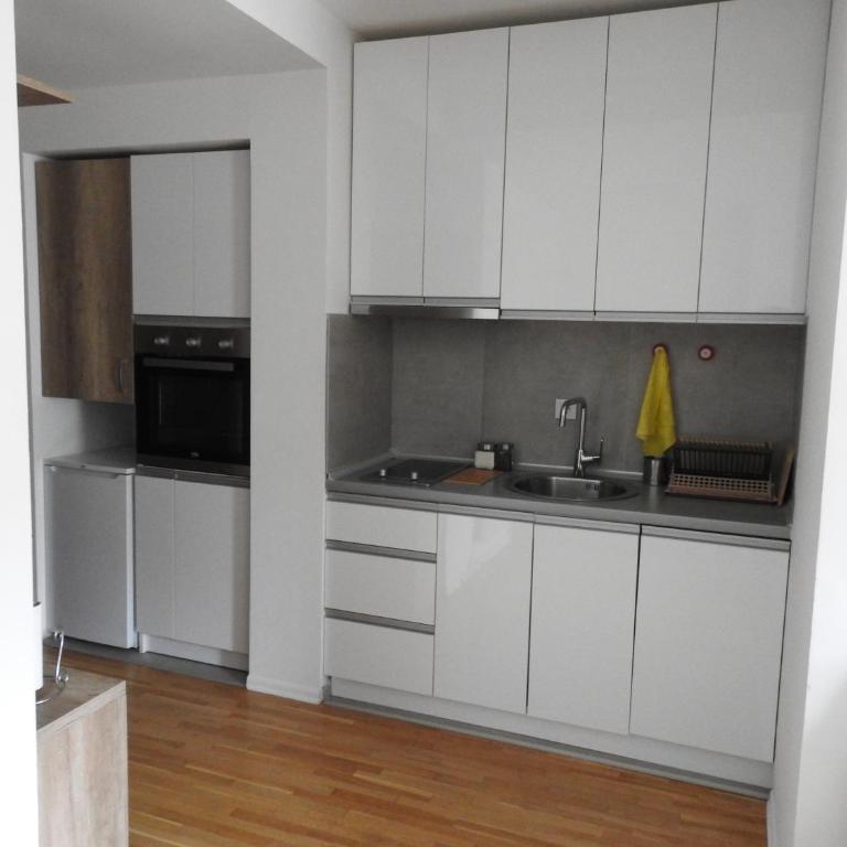 Apartman Cvijovic Zlatibor - Apartman sa 1 Spavaćom Sobom - 18