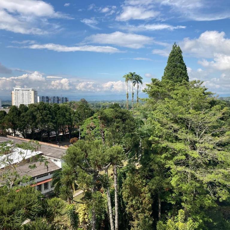 The view - Apartamento de 1 dormitorio - 6