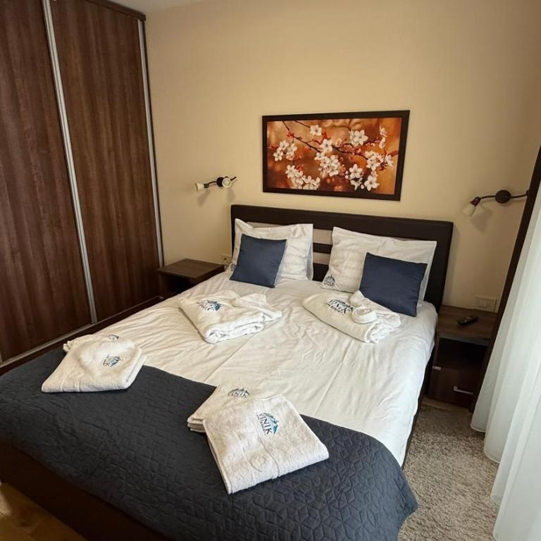 VINIK SPA RESORT Zlatibor - Apartman sa 1 Spavaćom Sobom - 24