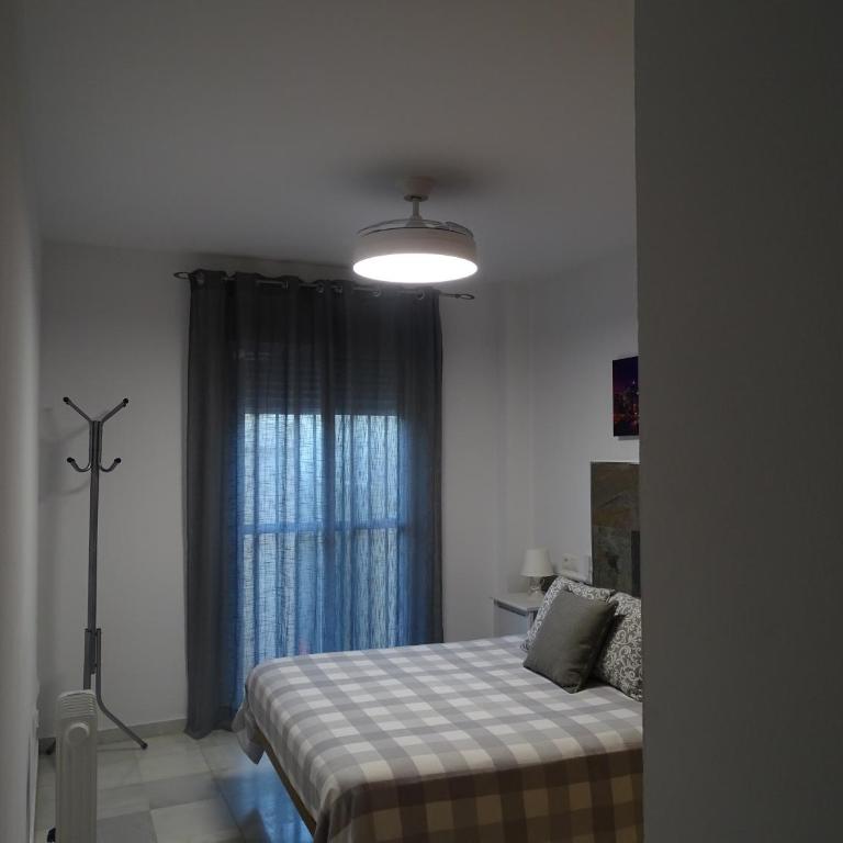 Apartamento Oropendola 9 - Apartamento - 15