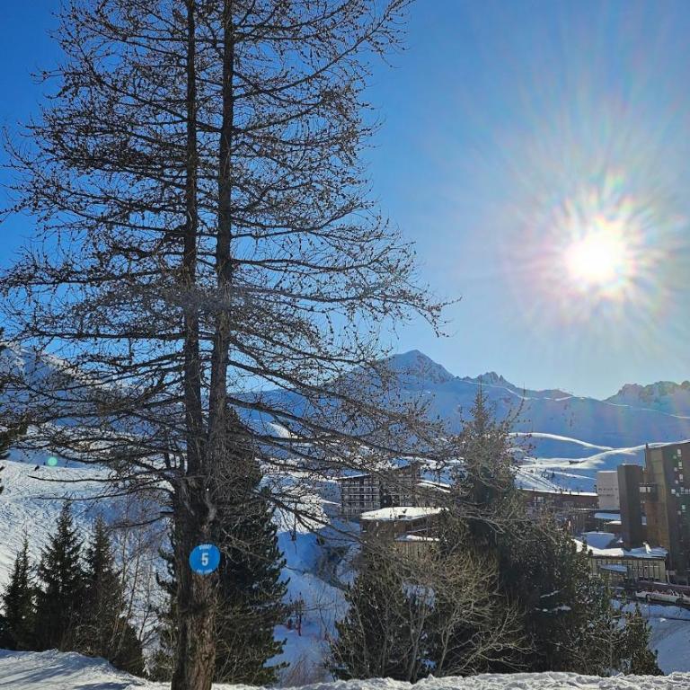 Plein Sud, skis aux pieds, linge & ménage inclus---South-facing, SKI-IN-OUT, all included---Arc 2000, Le Varet - Appartement 1 Chambre avec Balcon et Vue sur les Montagnes - 16