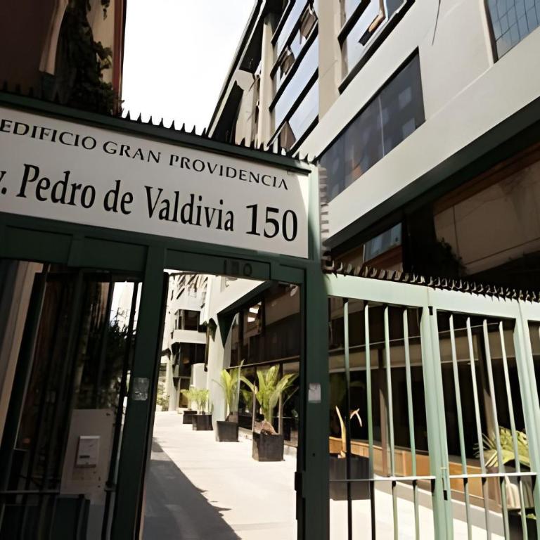 Living Valdivia - Apartamento Superior - 9