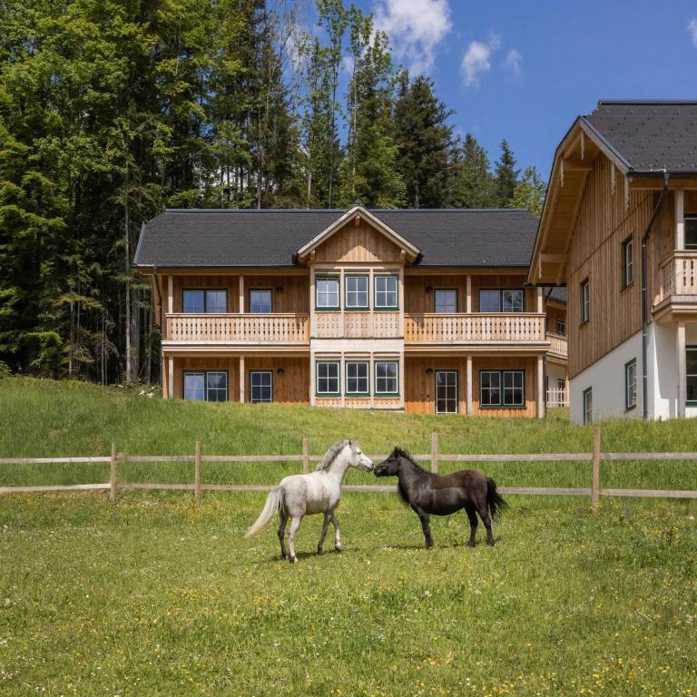 Chalet near Lake Grundlsee & Ski Lift - Three-Bedroom Vacation Home - 37