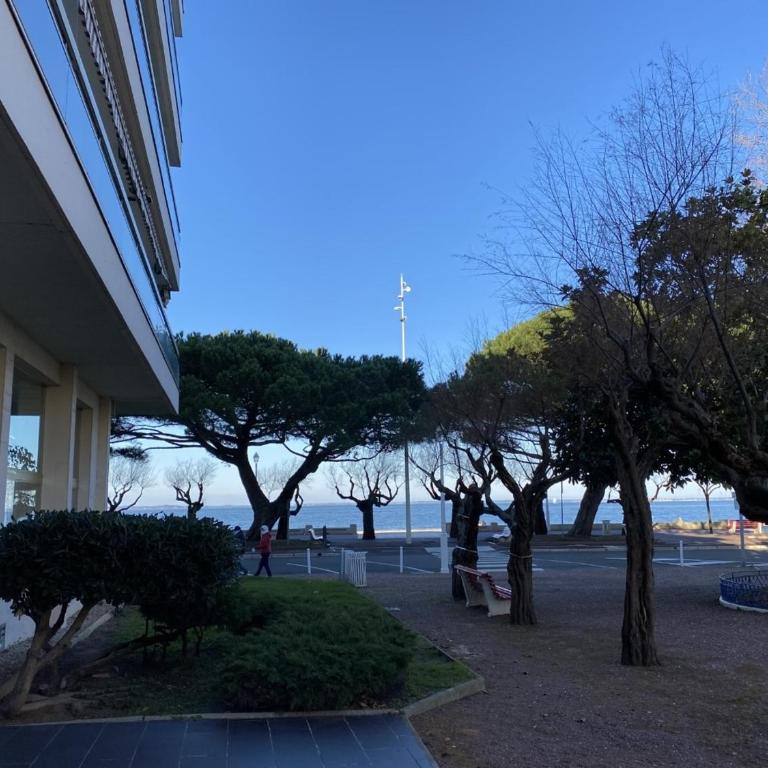 Appartement cosy hyper centre d'Arcachon, proche plage et commerces - FR-1-474-262 - Apartment - 13