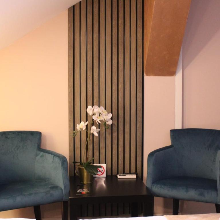 Skadarlija Suites - Economy Dvokrevetna Soba sa Bračnim Krevetom - 6