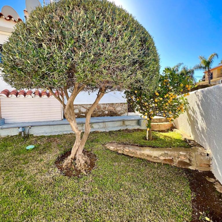 Villa Naranja - Luxury Holiday - Villa - 8