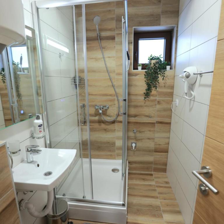 Srebrena Vila Apartman Elena 4 - Apartman sa 1 Spavaćom Sobom - 8