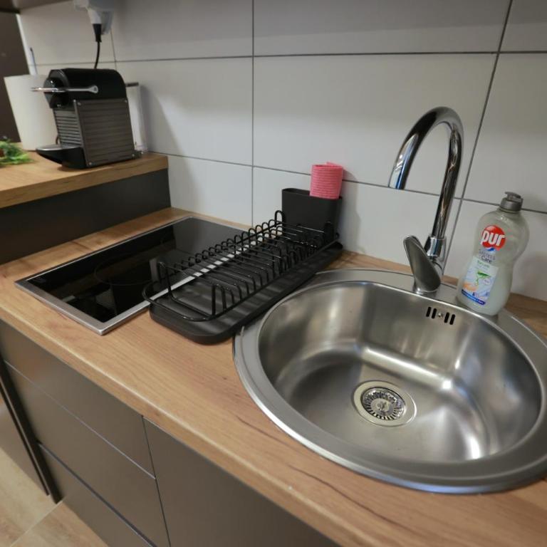 Srebrena Vila Apartman Elena 4 - Apartman sa 1 Spavaćom Sobom - 9