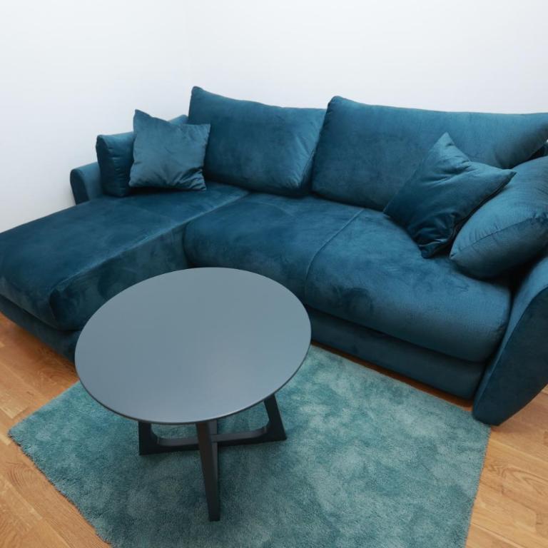 Srebrena Vila Apartman Elena 4 - Apartman sa 1 Spavaćom Sobom - 9