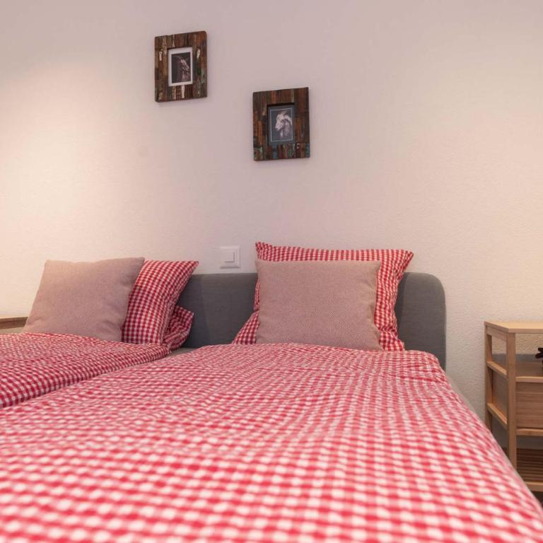 MOM - Alpine Boutique Apartments, Alpstein Eiger View Terrace, City Center - One-Bedroom Apartment - 14