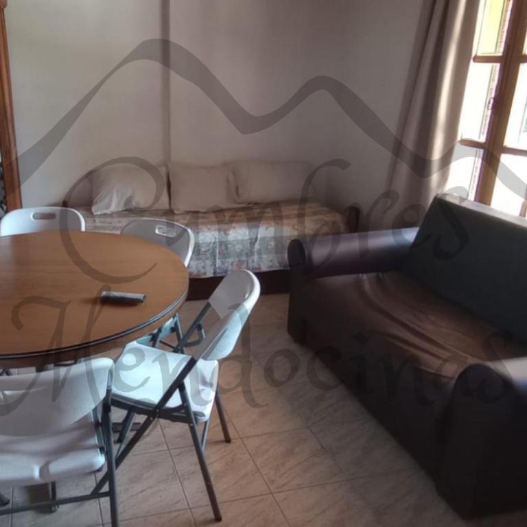 Hospedaje Cumbres Mendocinas - Apartamento de 2 dormitorios - 4