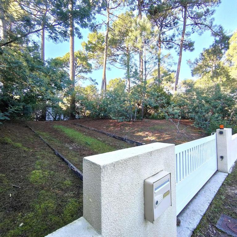 Villa en lisière de forêt avec jardin, à 1,5 km de l'Océan, idéale pour des vacances reposantes - Villa 3 Chambres - 19