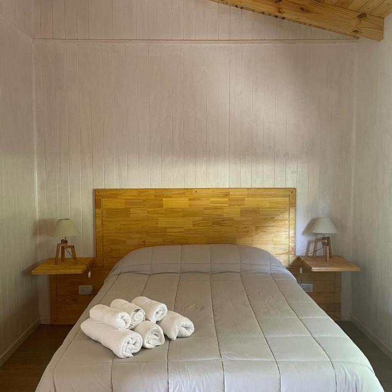 Cabaña Don Ramon - Puerto Patriada - Chalet de 2 dormitorios - 10