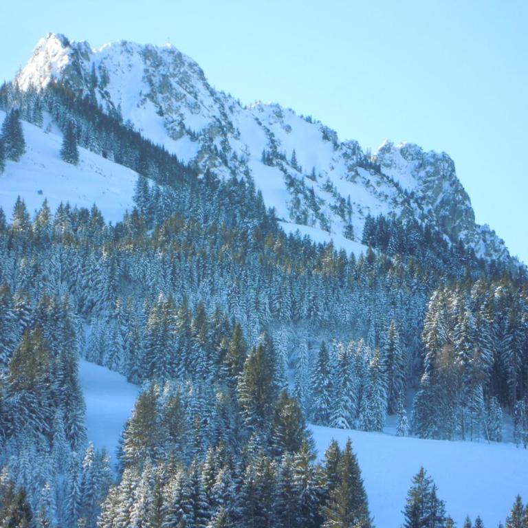 Fewo Wertachliebe - Apartment mit 1 Schlafzimmer und Balkon - 16