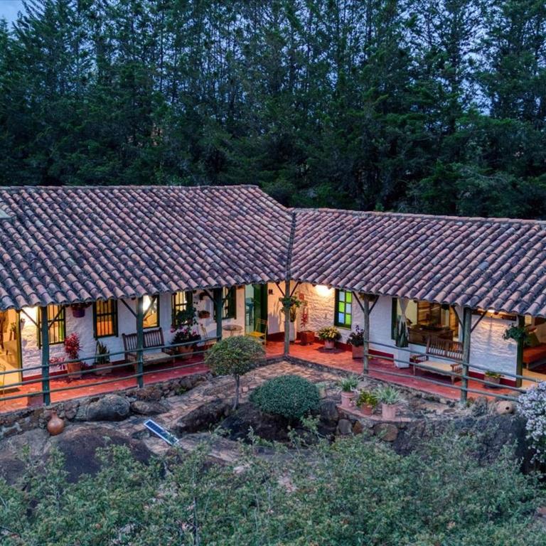 El Hayuelo Ecolodge - Estudio con vistas al jardín - 9