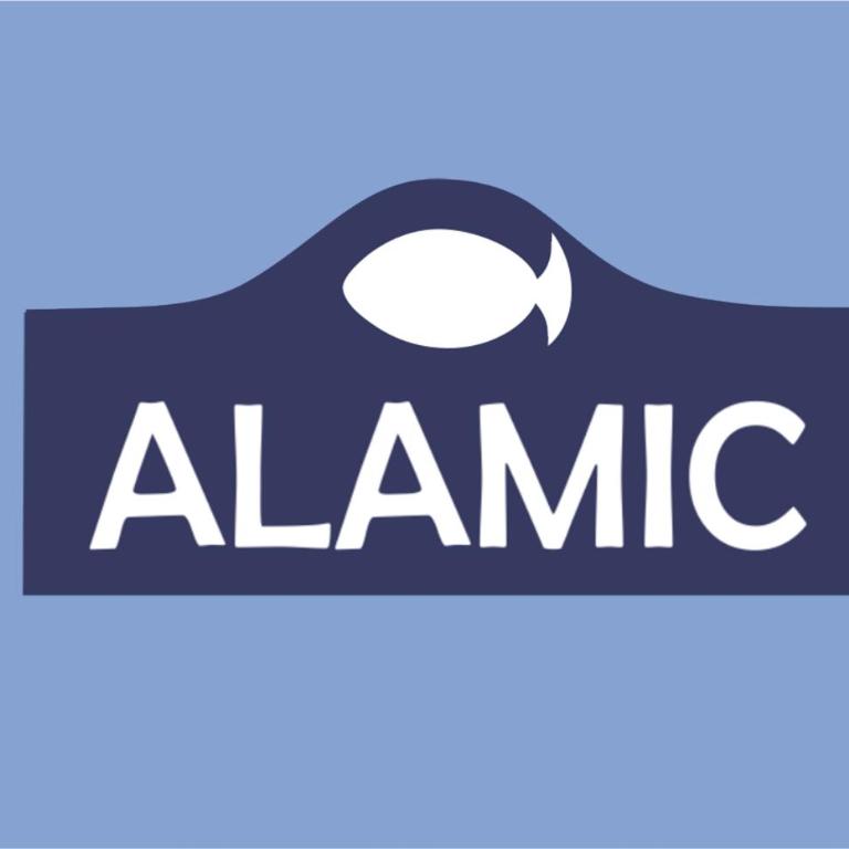 Alamic - Appartement en Duplex - 47