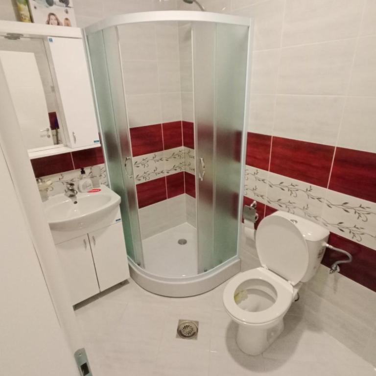 Apartman-studio Sokobanja - Apartman sa 1 Spavaćom Sobom - 6