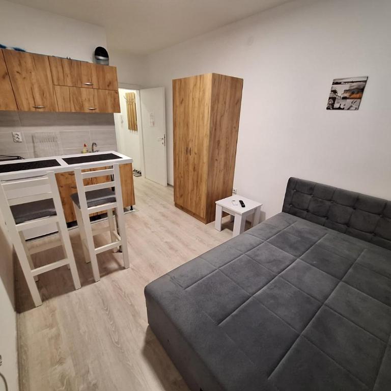 Apartman-studio Sokobanja - Apartman sa 1 Spavaćom Sobom - 10