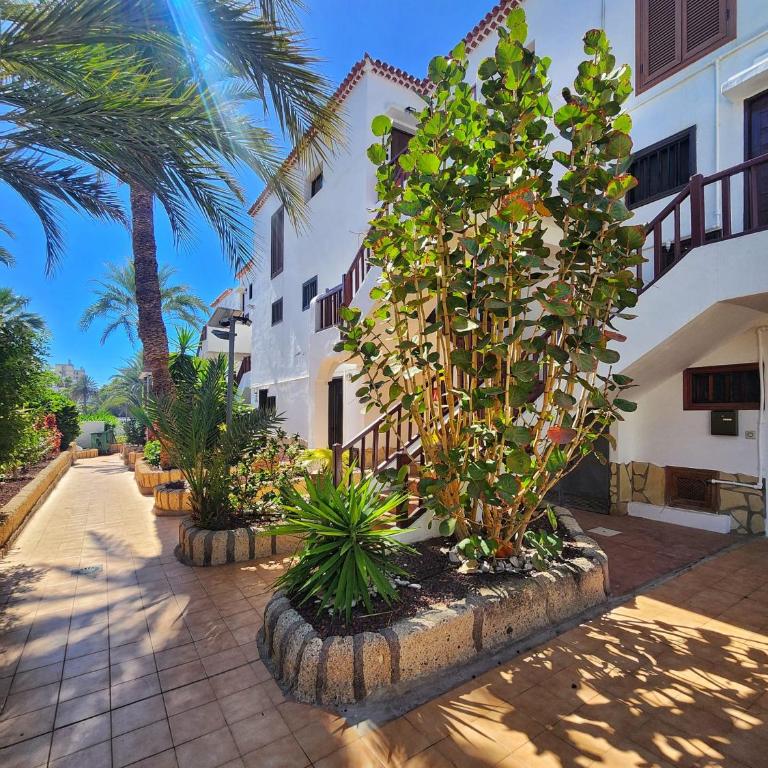 Dreaming Paraiso Royal - Apartamento de 1 dormitorio - 18