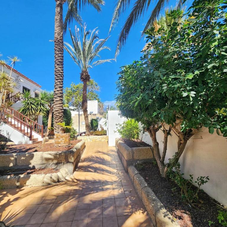 Dreaming Paraiso Royal - Apartamento de 1 dormitorio - 19