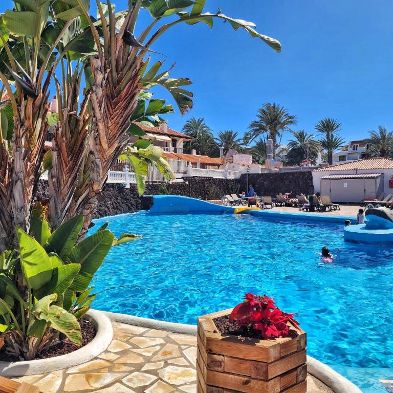 Dreaming Paraiso Royal - Apartamento de 1 dormitorio - 1
