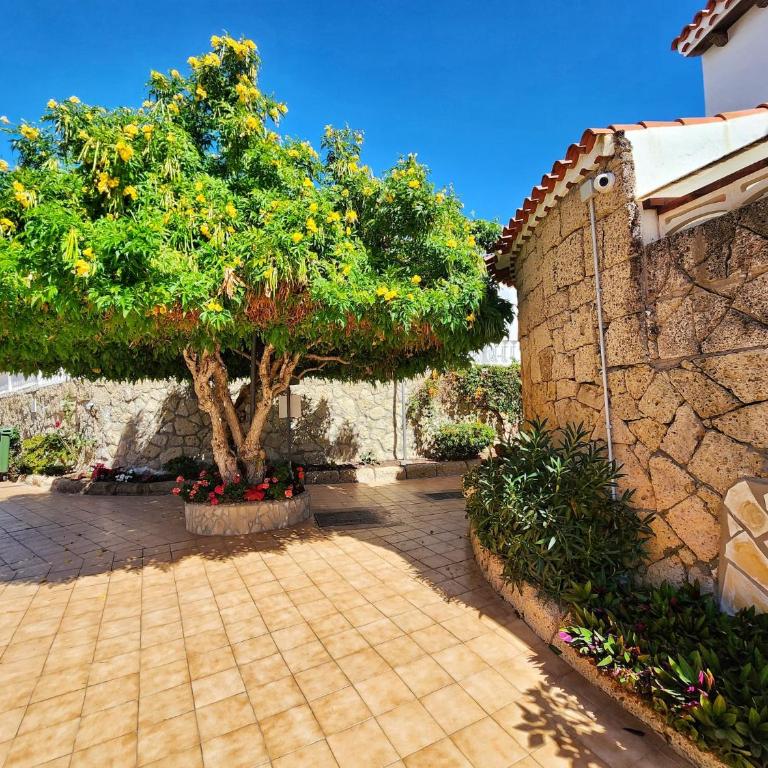 Dreaming Paraiso Royal - Apartamento de 1 dormitorio - 32