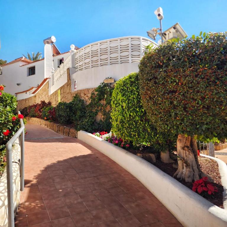 Dreaming Paraiso Royal - Apartamento de 1 dormitorio - 33