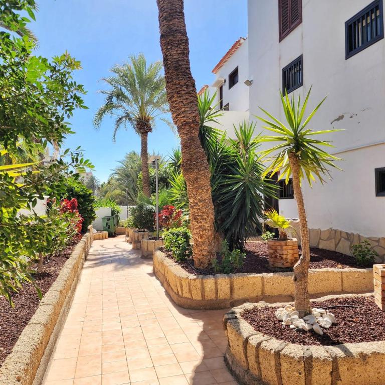 Dreaming Paraiso Royal - Apartamento de 1 dormitorio - 34