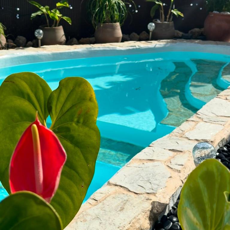 Krisant Gold Rural Luxury Privat Pool - Villa con piscina privada - 56