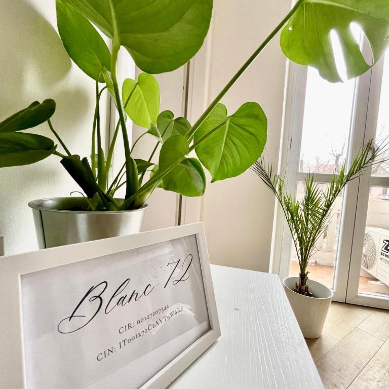 Blanc72 - One-Bedroom Apartment - 2