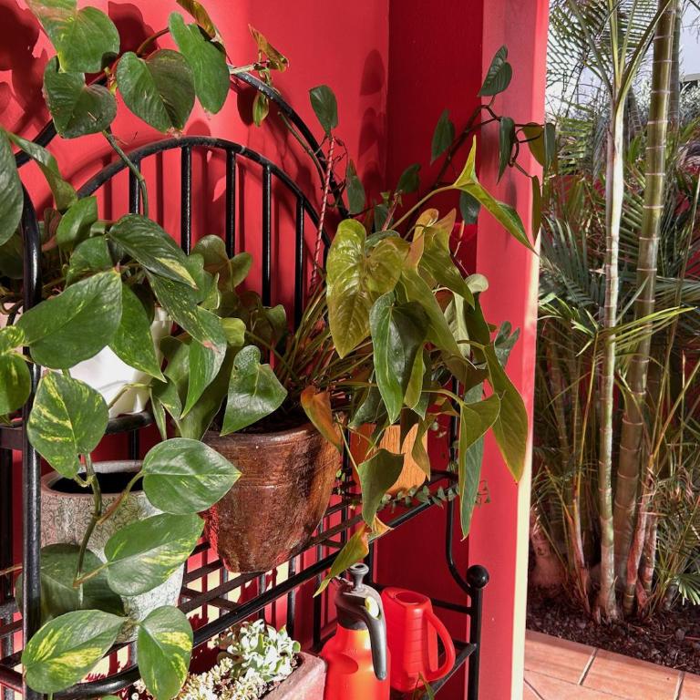 Red-House - Villa con piscina privada - 21