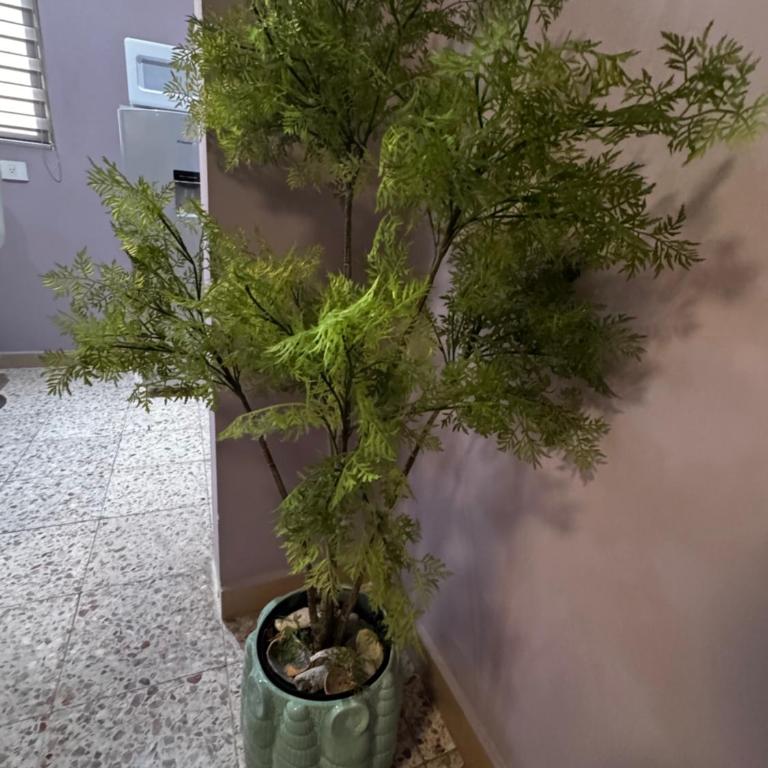 Casa Lunamar - One-Bedroom Apartment - 18