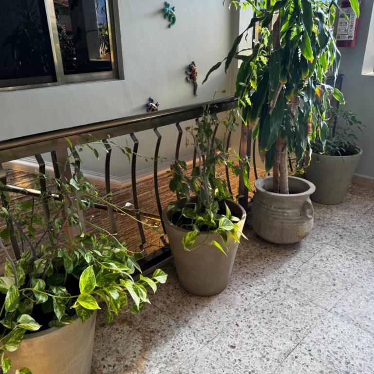 Casa Lunamar - One-Bedroom Apartment - 19