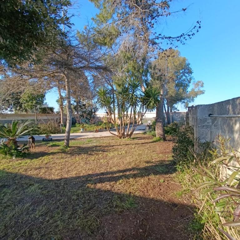 IL GELSO LECCE Affitti Brevi - Camera Doppia con Letti Singoli e Bagno in Comune - 7