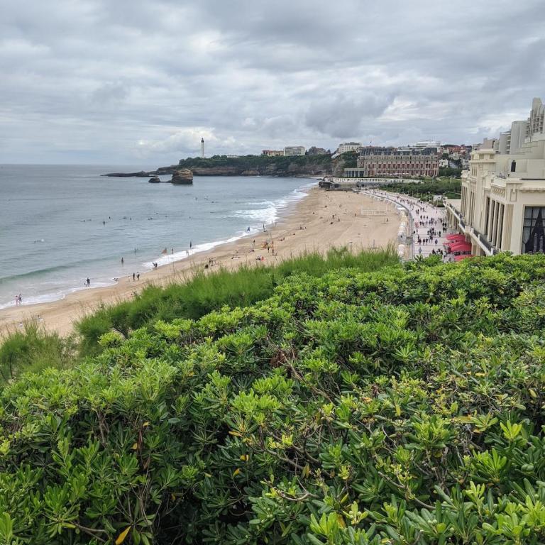 location-cote-basque fr - Studio au golf du phare de Biarritz - piscine, plage, golf, parking - Appartement 1 Chambre - 19