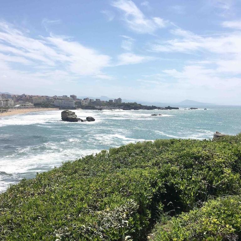 location-cote-basque fr - Studio au golf du phare de Biarritz - piscine, plage, golf, parking - Appartement 1 Chambre - 22