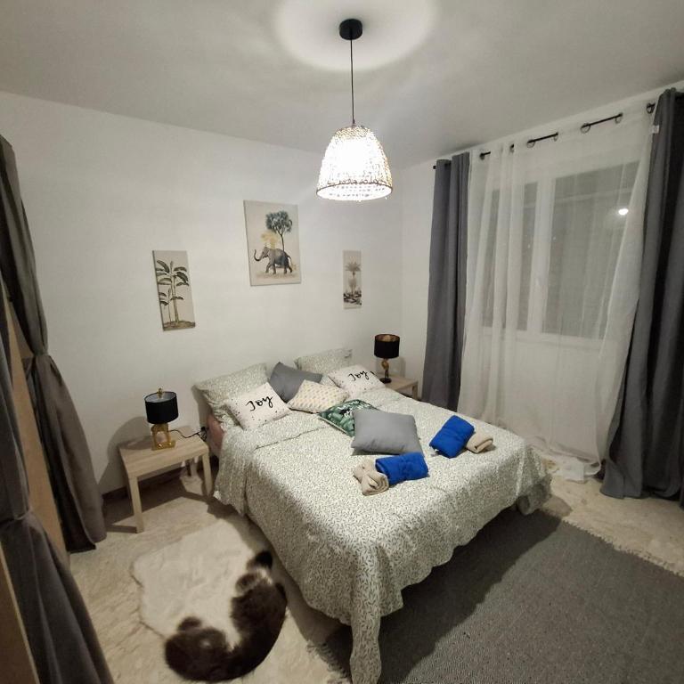 Havre de paix - Appartement 1 Chambre - 2