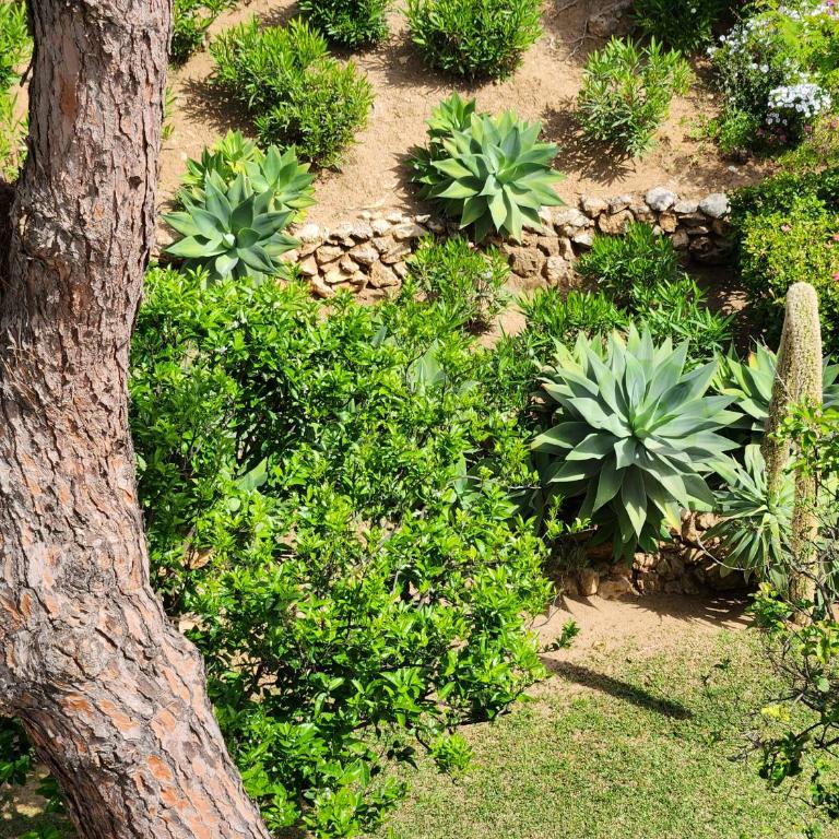 ELENA flat A little paradise right on the BEACH - Apartamento - 48