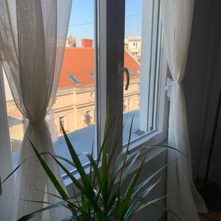 City Centre Apartment 3 - Apartman sa 1 Spavaćom Sobom - 7