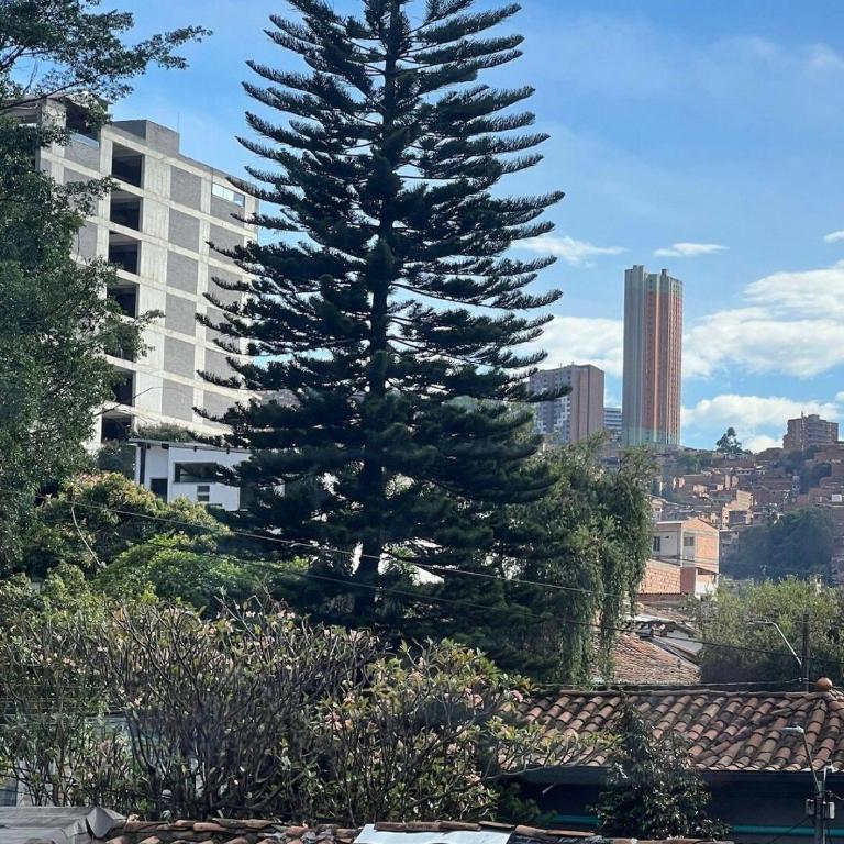 Aire acondicionado , Céntrico y Acogedor - Apartamento de 2 dormitorios - 15