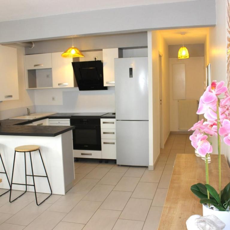 Appartement l'esprit de Lourdes, proche sanctuaire et gare, vue sur le château - Appartement 1 Chambre - 4