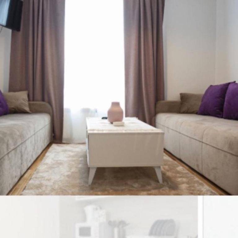 Wolf Apartments Kopaonik - Deluxe Studio - 1